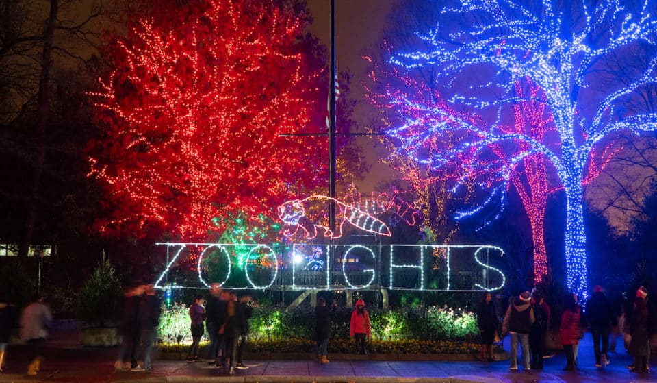 12 Spots To Admire Dazzling Holiday Lights In D.C.