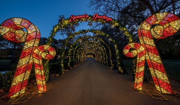 This Enchanting Holiday Trail Will Turn Morven Park Into A Glittering Wonderland