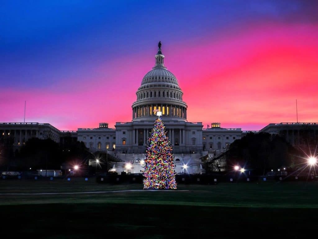 Christmas Tree Capitol