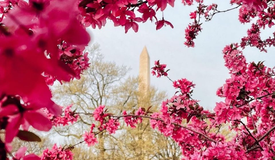 18 Exciting Things To Do In DC This May