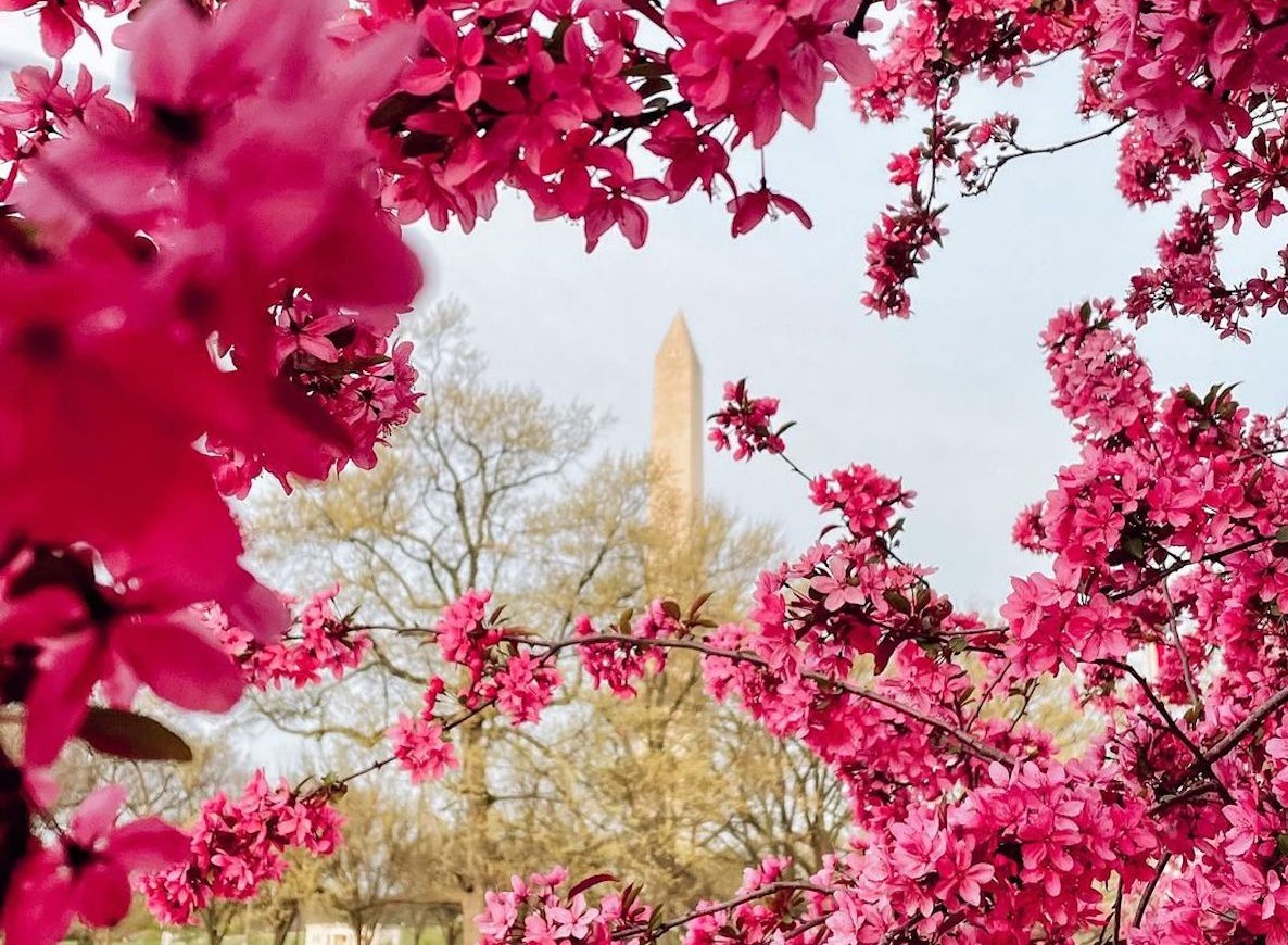 27 Magnificent Things To Do In D.C. This May Secret DC