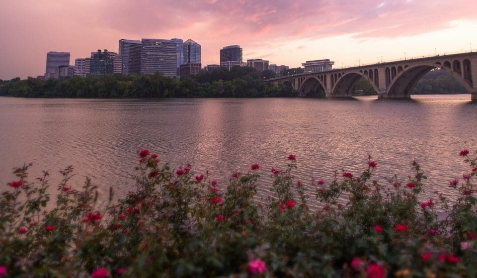 5 Fun Things To Do This Weekend In D.C.