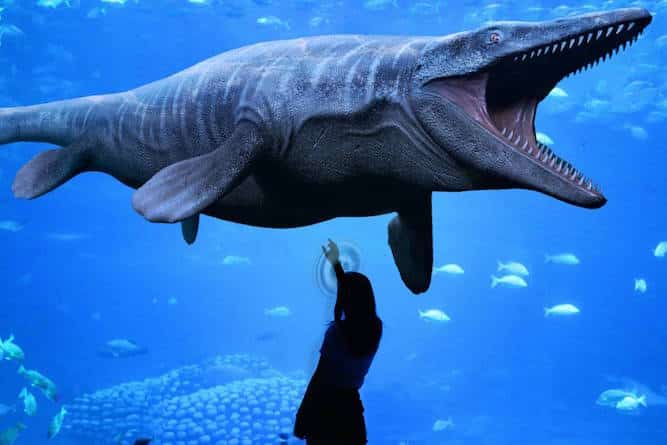Virtual aquarium at the Dinos Alive experience