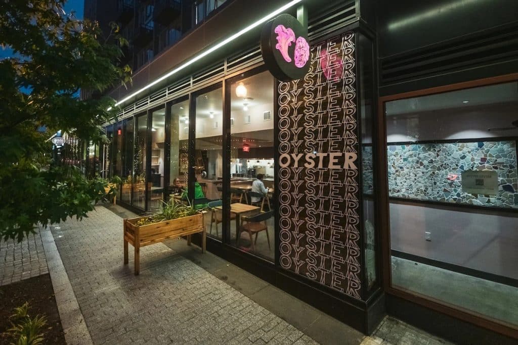 Oyster Oyster