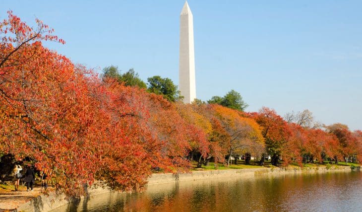 30 Best Things To Do In D.C. This September