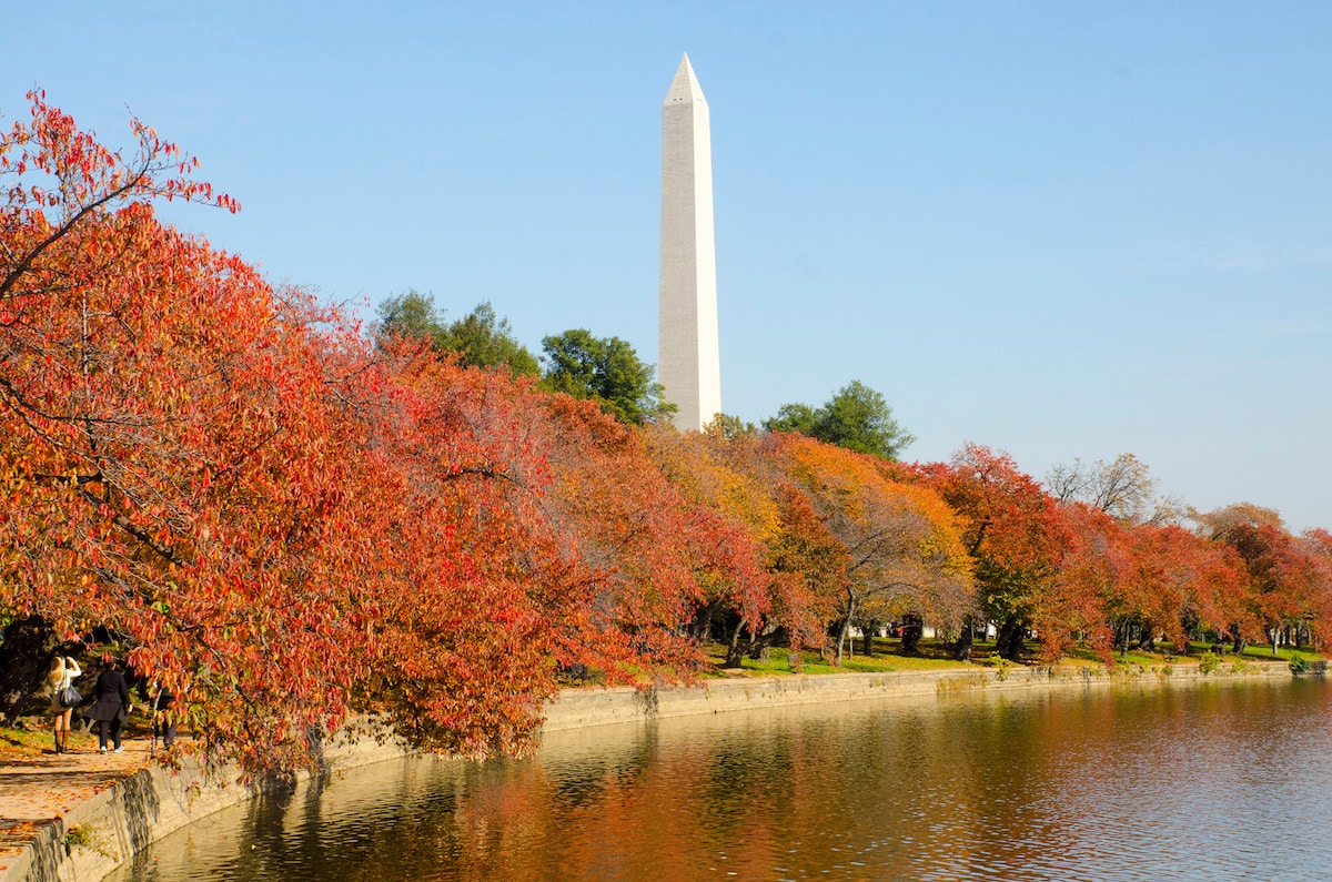 30 Best Things To Do In D.C. This September