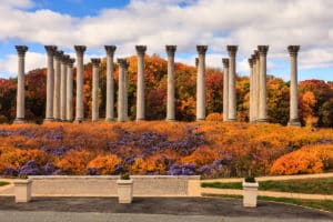 Autumn National Capitol Columns