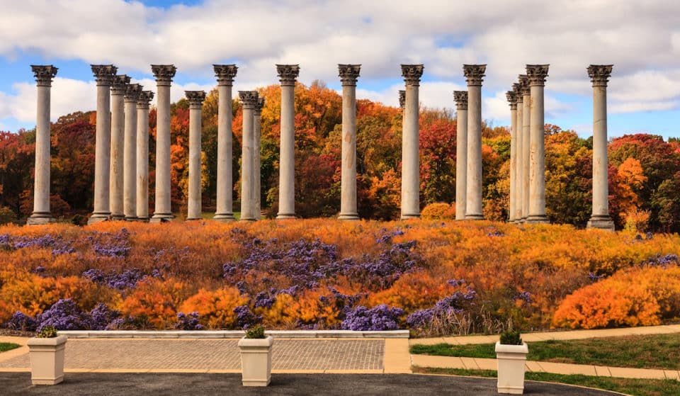 57 Fun-Filled Things To Do In D.C. This November 