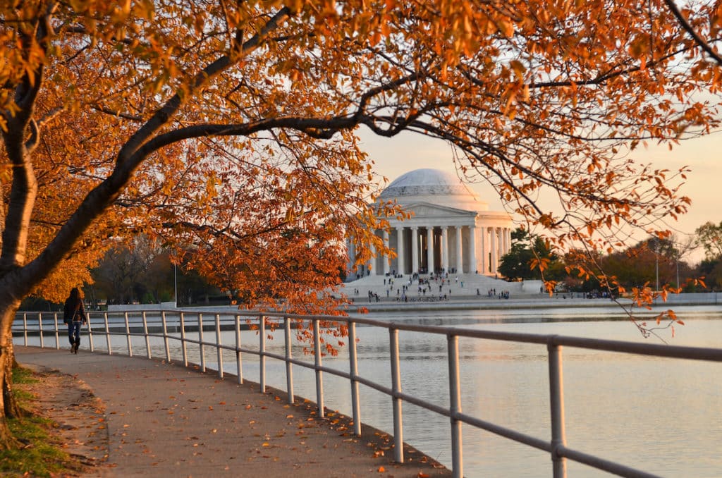 D.C. Jefferson Memorial Autumn