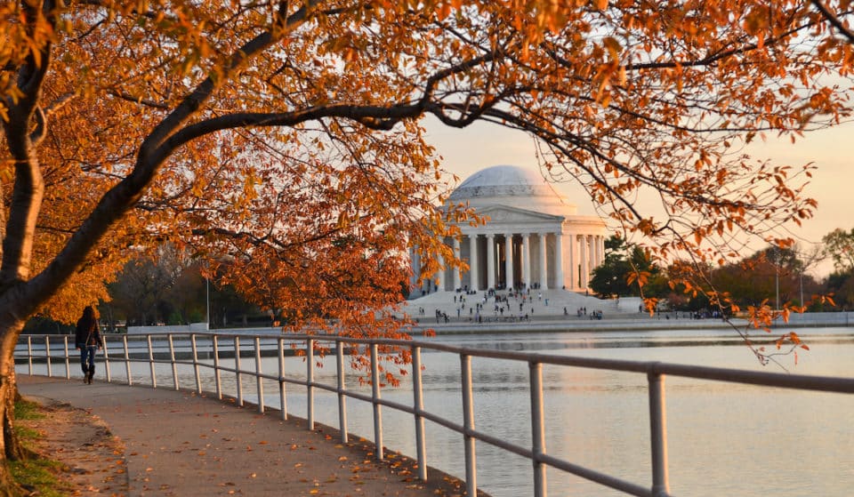 39 D.C. Happenings You Don’t Want To Miss This October 