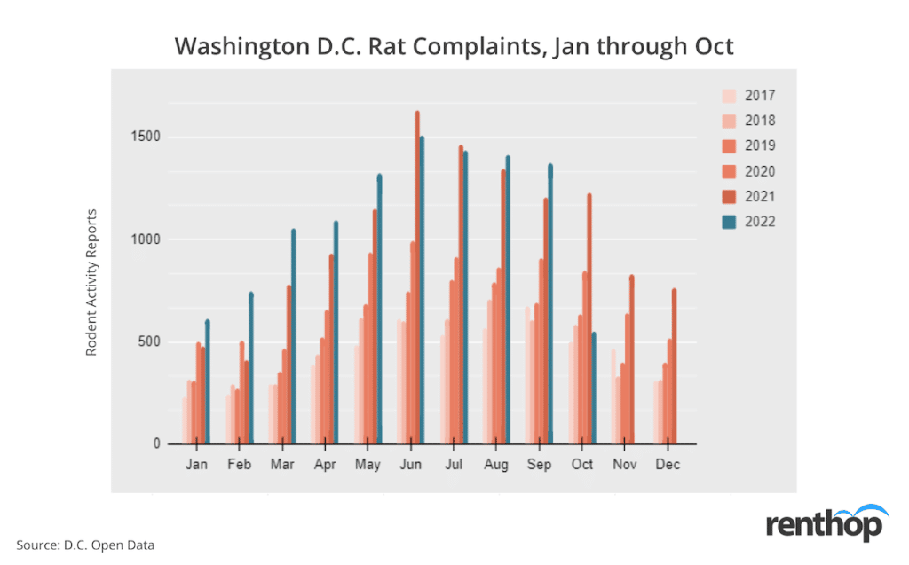 Washington D.C. Rats