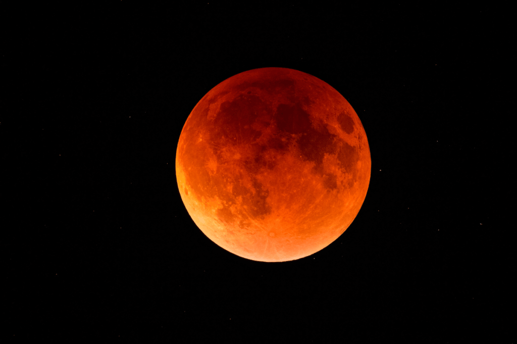 blood moon total lunar-eclipse