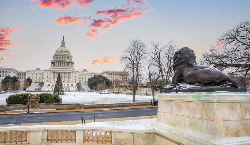 15 Fantastic Things To Do In D.C. This February
