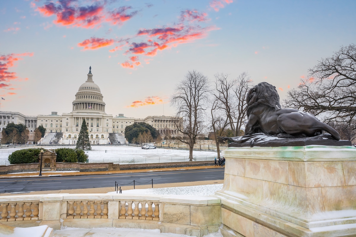 15 Fantastic Things To Do In D.C. This February Secret DC