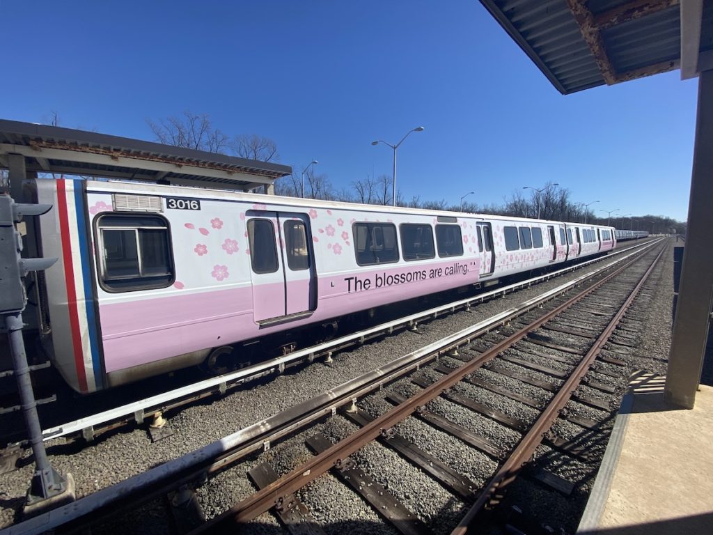 Cherry blossom Metro train