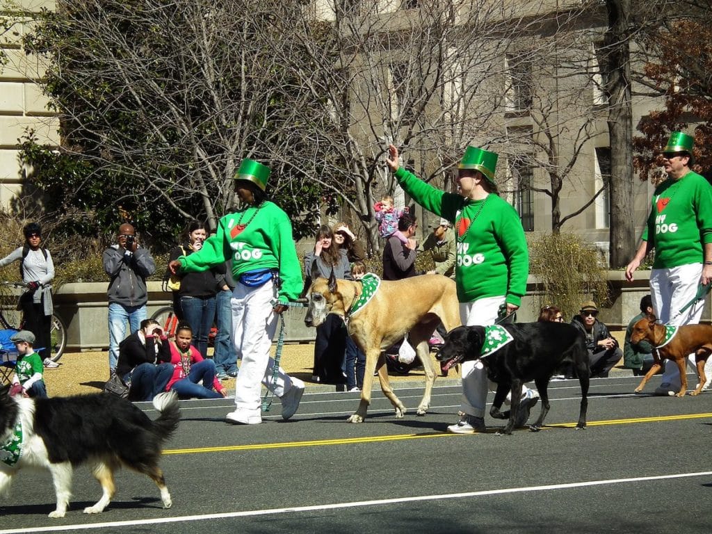 St. Patricks Day Parade D.C.