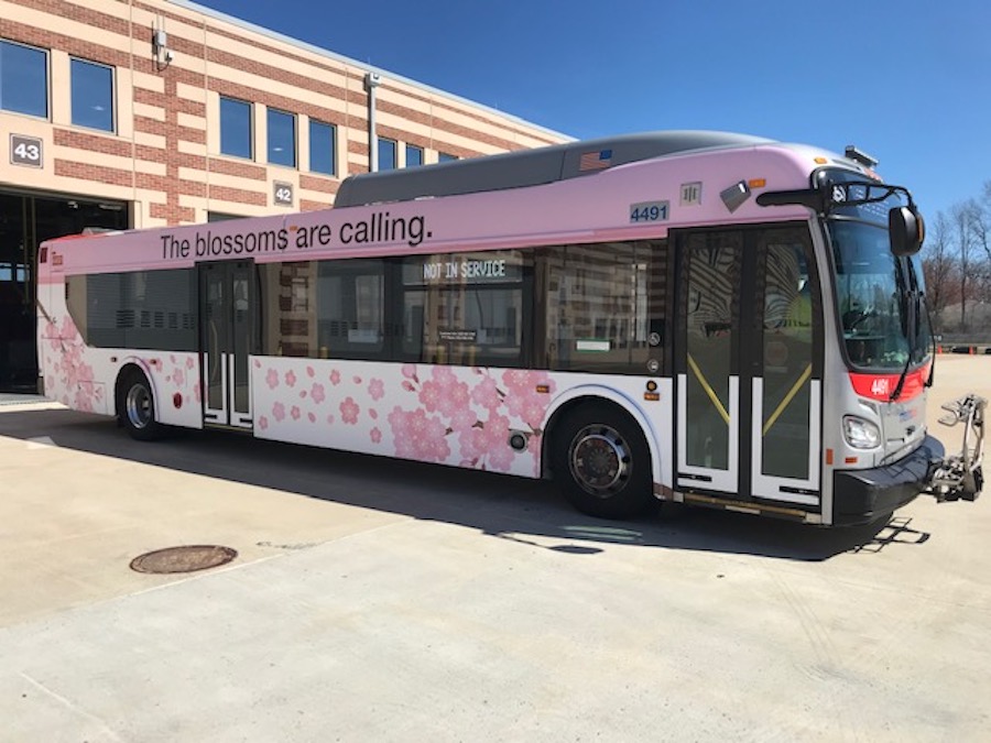 Cherry blossom Metro bus