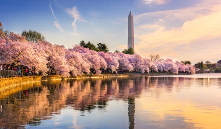 23 Magnificent Things To Do In D.C. This March