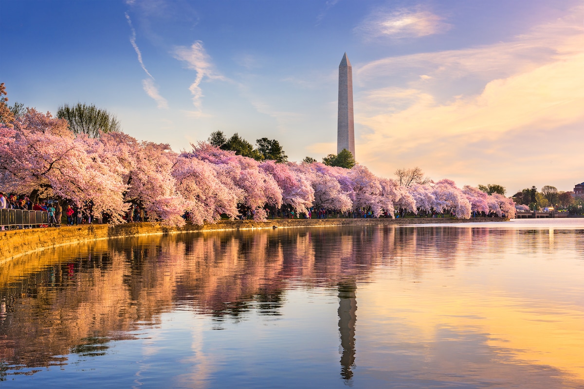23 Magnificent Things To Do In D.C. This March Secret DC