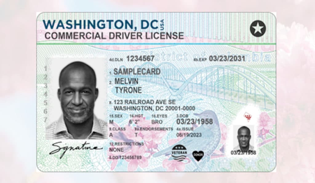 D.C. REAL ID Driver's License