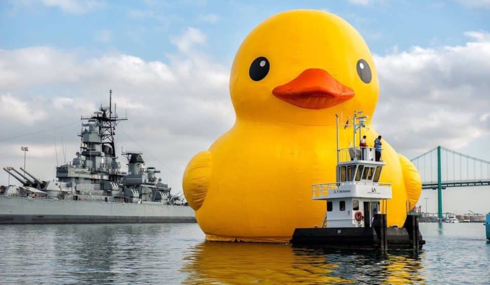 Duck, Duck, DMV! World’s Largest Rubber Duck Making Its Maiden Voyage For D.C.-Area